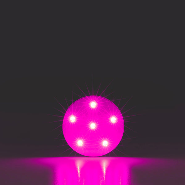 Omnilux Mini Blemish Eraser | Blue & Red LED Acne Device - Raspberry ...